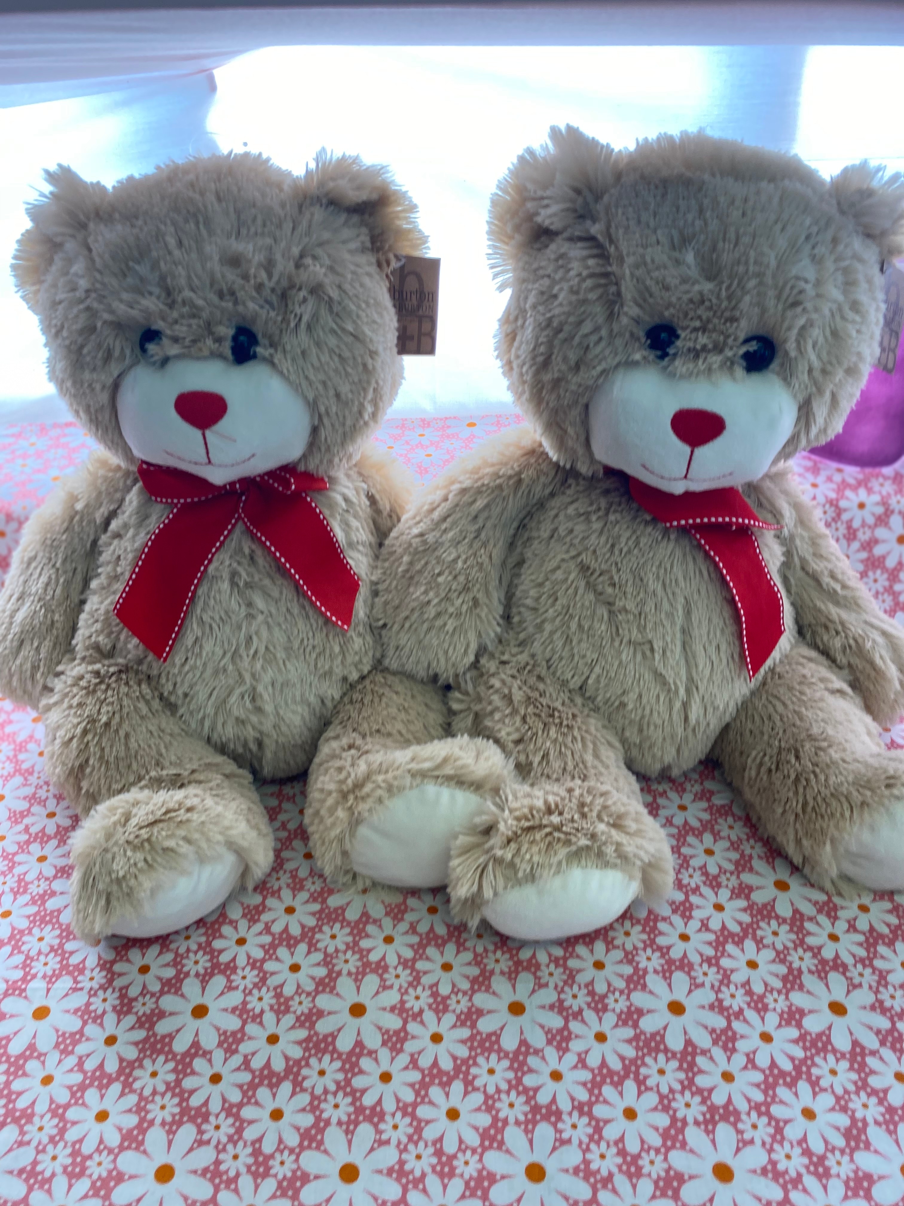 Large Teddy bear
